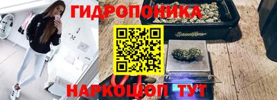 сатива Рязань