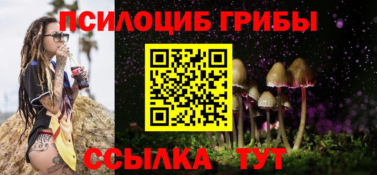 купить наркотик  Вход с VPN  Пыть-Ях  Галлюциногенные грибы GOLDEN TEACHER  Псилоцибиновые грибы Psilocybe 